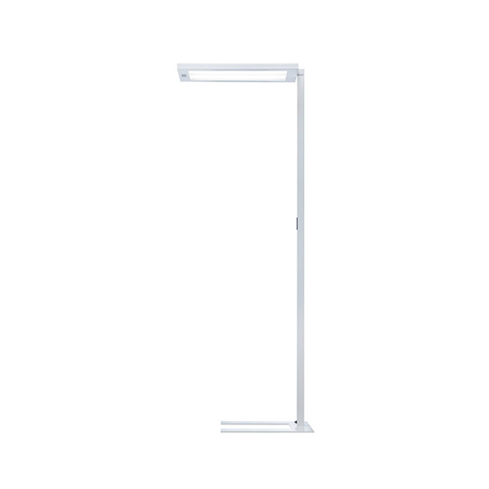 LED-Stehlampe Lavigo DPS 16500/840/R/G2, weiß LED-Stehlampe Lavigo DPS 16500/840/R/G2, weiß von Waldmann