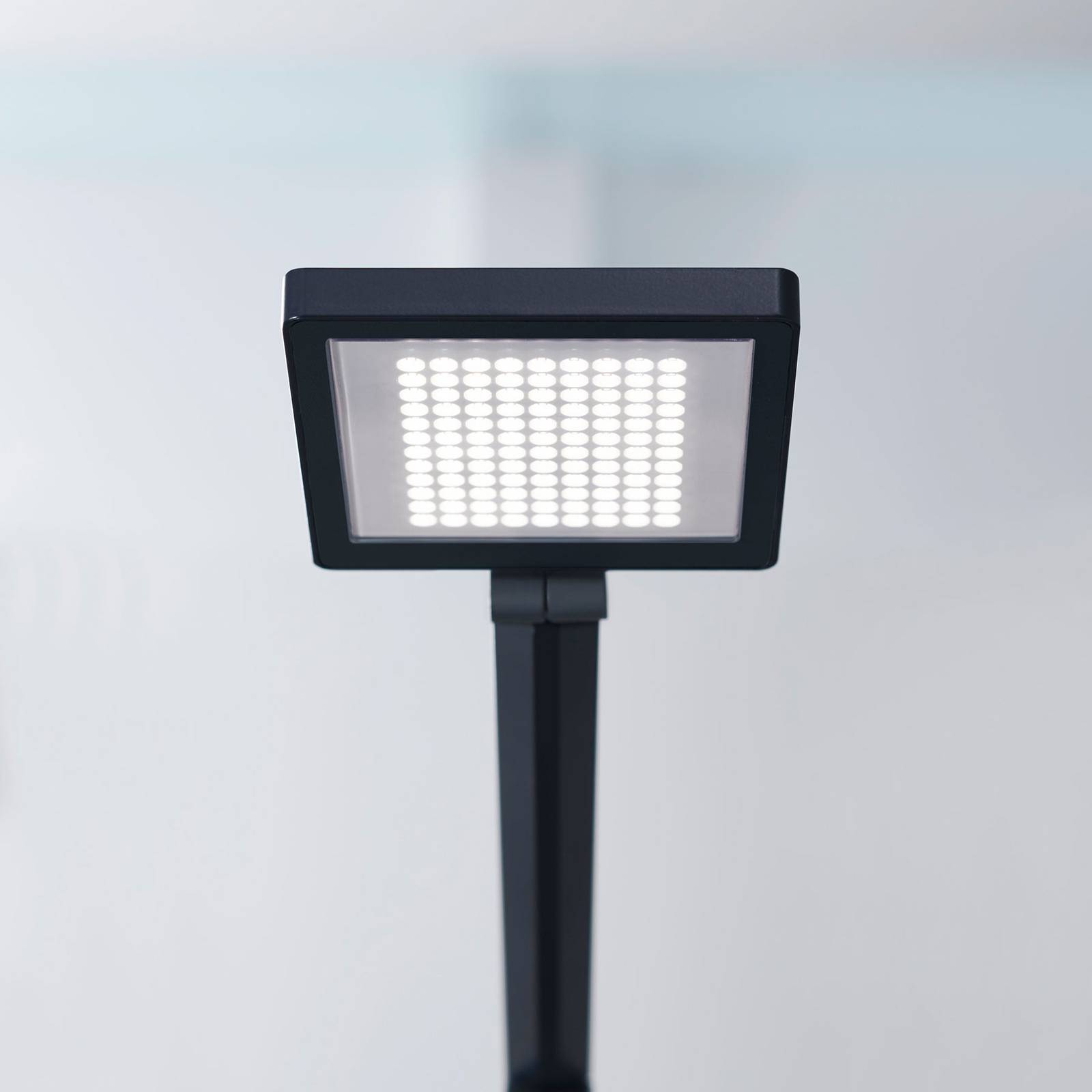 LED-Tischleuchte PARA.MI FTL 108 R schwarz 940 von Waldmann