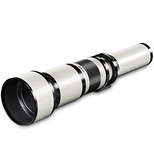 Walimex pro 650-1300mm 1:8-16 CSC Teleobjektiv für DSLR Canon EF - Manueller Fokus, Zoom-Teleobjektiv für Vollformat & APS-C Sensor, Ganzmetallfassung, inkl. Aufbewahrungstasche & Objektivdeckeln von Walimex Pro