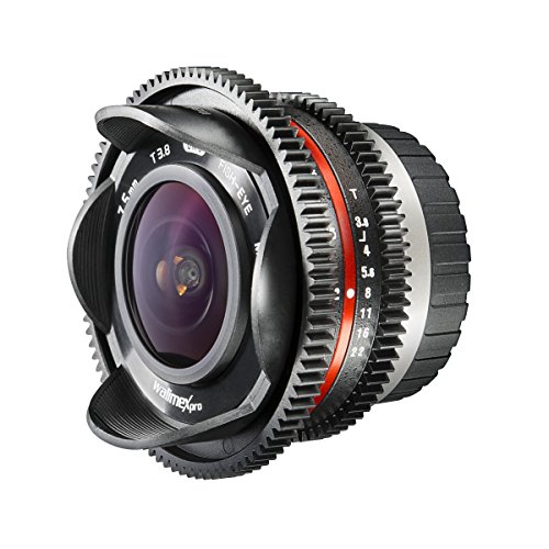 Walimex Pro 7,5mm 1:3,8 VCSC Fish-Eye Foto/Video Objektiv für Micro Four Thirds Objektivbajonett schwarz (manueller Fokus, für APS-C Sensor gerechnet, UMC vergütete Glaslinsen, feste Gegenlichtblende) von Walimex pro