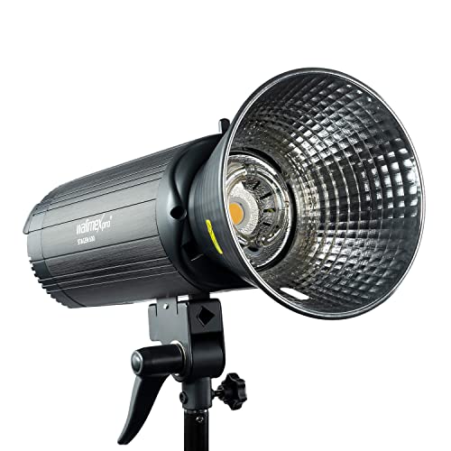 Walimex Pro Stager 600 HSS Studioblitz - leistungsstarker Studioblitz mit 2,4 GHz Empfänger, HSS-Modus, 600 Ws, Kurze Abbrennzeit, LED-Einstelllicht, für Profifotografen von Walimex pro