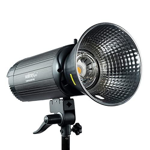 Walimex pro Campaigner 400 HS Studioblitz mit integriertem 2.4 GHz Empfänger, 400 Ws, Schnelle Abbrennzeit, LED-Einstelllicht Und Benutzerfreundliches Bedienpanel, Hochwertiger Aluminium-Finish von Walimex pro