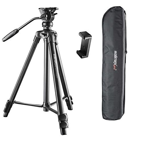 Walimex pro Videostativ mit Fluidkopf, Smartphone-Halterung & Tasche I Advanced 173cm, leicht & stabil I 360° Panoramafunktion & Schwenksperre I für DSLR Kamera, Camcorder und Handy bis 4kg von Walimex pro