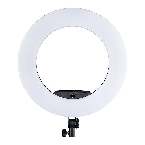 Walimex pro dimmbares LED Ringlicht Medow 960 Pro Bi Color I 96W Ringleuchte mit Bedienknopf vorne & hinten I Kameralicht & Selfie Licht mit extra Zubehör + Tasche I kompatibel mit vielen Stativen von Walimex pro