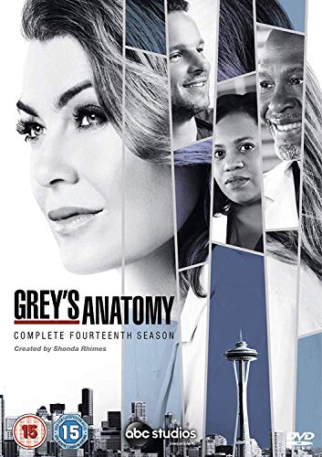 Grey's Anatomy - Season 14 [UK Import] von WALT DISNEY