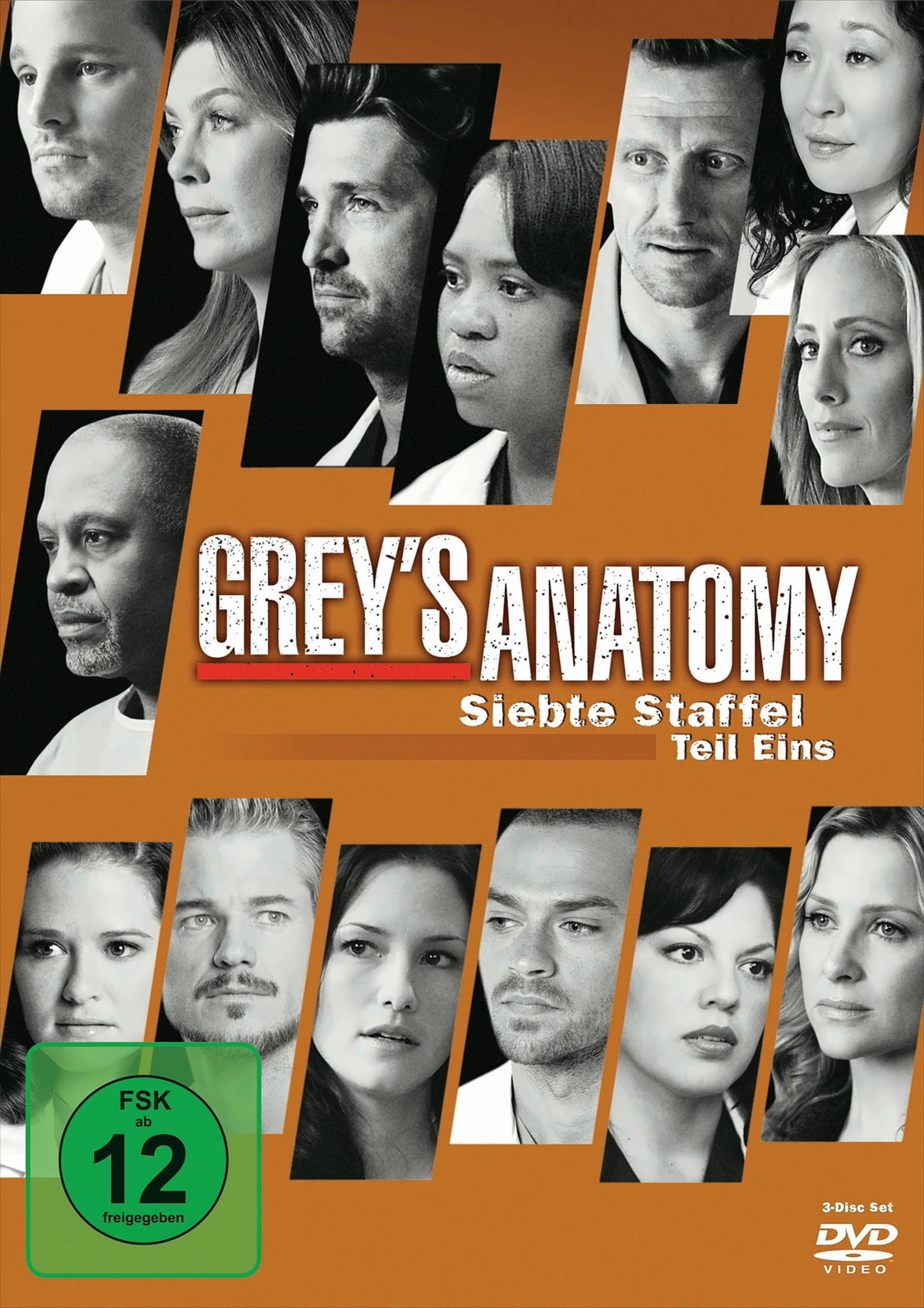 Grey's Anatomy: Die jungen Ärzte - Siebte Staffel, Teil Eins (3 Discs) von Walt Disney Studios