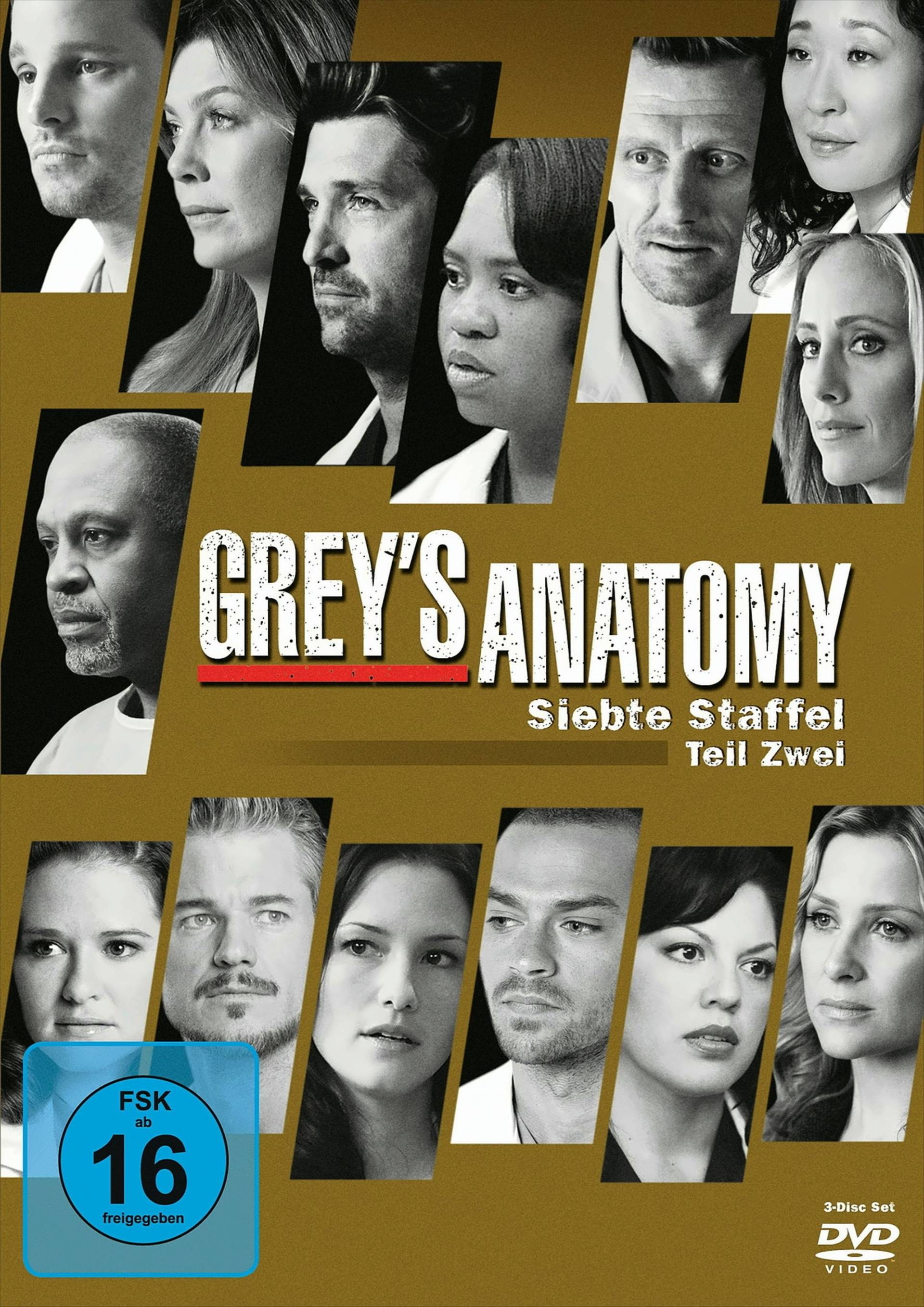 Grey's Anatomy: Die jungen Ärzte - Siebte Staffel, Teil Zwei (3 Discs) von Walt Disney Studios