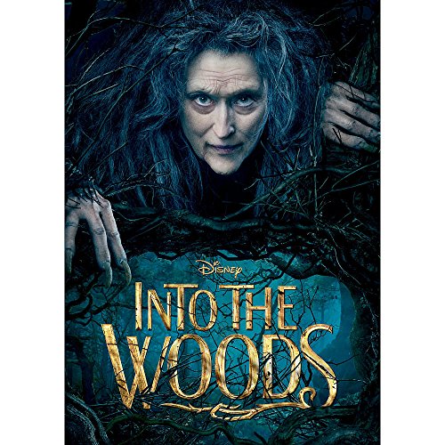 Into the Woods 1-Disc DVD von Walt Disney Video