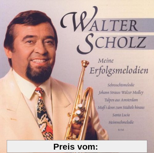 Meine Erfolgsmelodien von Walter Scholz