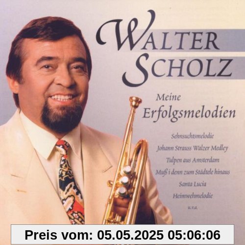 Meine Erfolgsmelodien von Walter Scholz