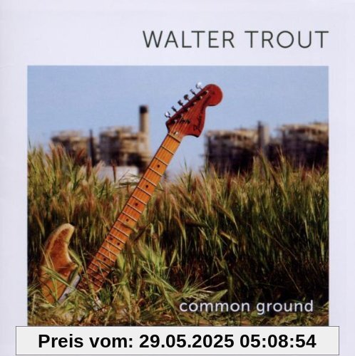 Common Ground von Walter Trout