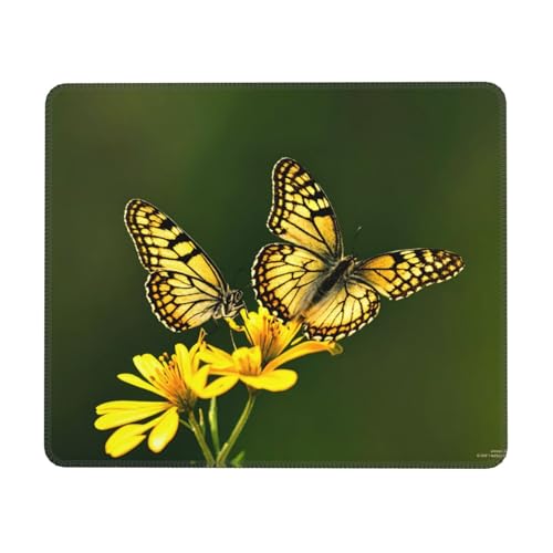 Mauspad mit gelbem Schmetterling, quadratisch, für Büro, Laptop, Computer, Schreibtisch, kabellose Maus, rutschfeste Gummiunterseite, waschbar, 17,8 x 21,8 cm Tastatur-Pad Mauspad mit gelbem Schmetterling, quadratisch, für Büro, Laptop, Computer, Schreibtisch, kabellose Maus, rutschfeste Gummiunterseite, waschbar, 17,8 x 21,8 cm Tastatur-Pad von WapNo
