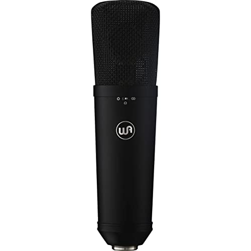 Warm Audio WA-87R2B Microphone Grey Studio Microphone von Warm Audio