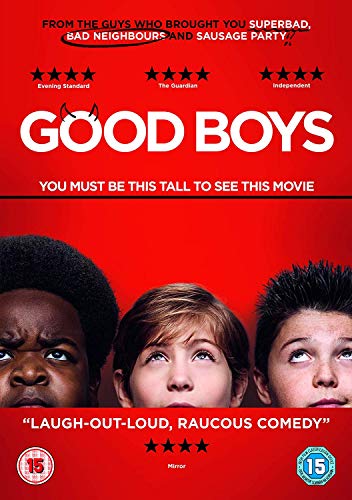 Good Boys (DVD) [2019] von Warner Bros (WAAQ4)
