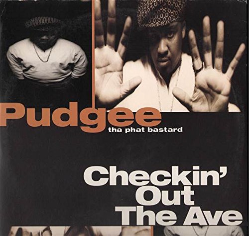 Checkin Out the Avenue [Vinyl LP] von Warner Bros / Wea