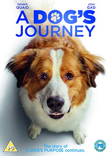 A Dog's Journey (DVD) [2019] von Warner Bros