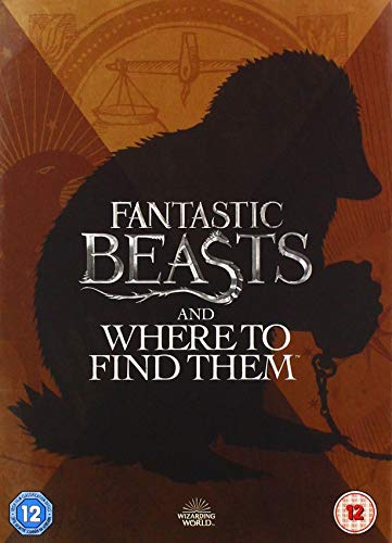 Fantastic Beasts and Where to Find Them [DVD] [2020] von Warner Bros.