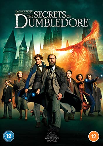 Fantastic Beasts: The Secrets of Dumbledore [DVD] [2022] von Warner Bros