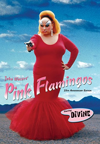 Pink Flamingos:25th Anniversar [DVD-AUDIO] [DVD-AUDIO] von Warner Bros.