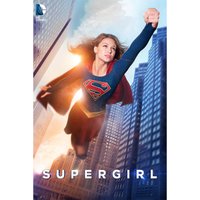 Supergirl - Season 1 von Warner Bros.