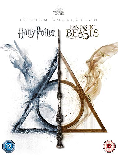 Wizarding World: [10 Film Collection] [Harry Potter/Fantastic Beasts] [DVD] [2001] [2020] von Warner Bros