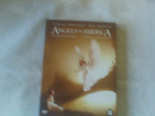 Angels In America - Coffret 2 DVD [FR IMPORT] von Warner Home Video