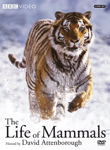 Life Of Mammals 1-4 (4pc) / (Dig) [DVD] [Region 1] [NTSC] [US Import] von BBC