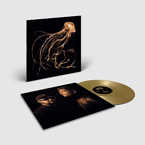 Back To The Water Below [Gold Vinyl - exklusiv bei Amazon.de] [Vinyl LP] von Warner Music (Warner)