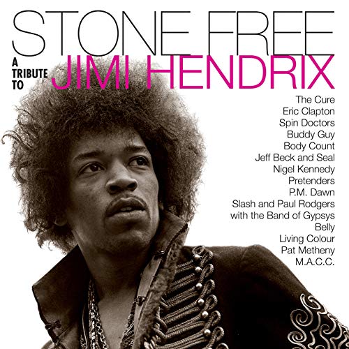 Stone Free:Jimi Hendrix Tribute [Vinyl LP] von WARNER RECORDS