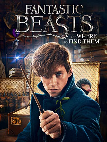 Fantastic Beasts & Where to Fi [DVD-Audio] von Warner Brothers