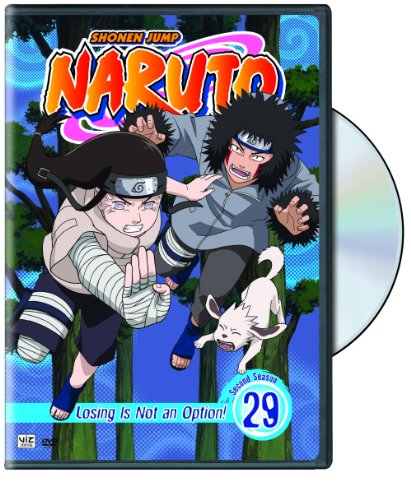 Naruto 29 [DVD] [Region 1] [NTSC] [US Import] von Warner Home Video