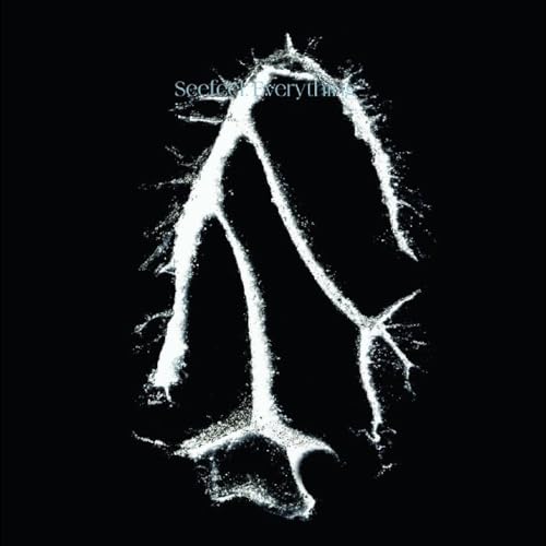 Everything Squared [Vinyl LP] von Warp
