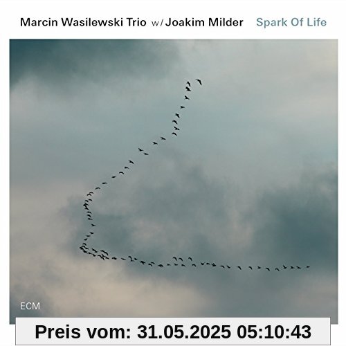 Spark of Life von Wasilewski, Marcin Trio