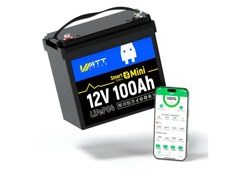 WattCycle WattCycle 12V 100Ah Mini-LiFePO4-Akku,integriertes 100A BMS, 1280Wh Powerstation, Geeignet für Automobile, Gartenarbeit,Schifffahrt,Trolling, Wohnmobile von WattCycle