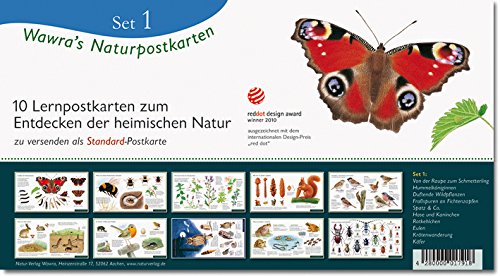 Wawra´s Naturpostkarten Set 1-10 Lernpostkarten im Set zum Entdecken, Beobachten, Bestimmen - Postkarten - 22 cm x 12 cm von Wawra