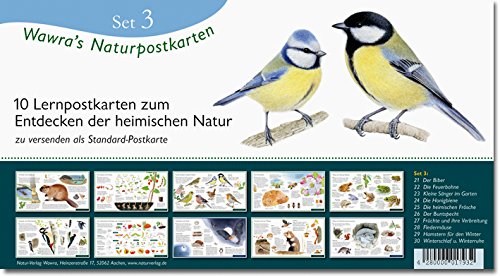 Wawra´s Naturpostkarten Set 3-10 Lernpostkarten im Set zum Entdecken, Beobachten, Bestimmen - Postkarten - 22 cm x 12 cm von Wawra