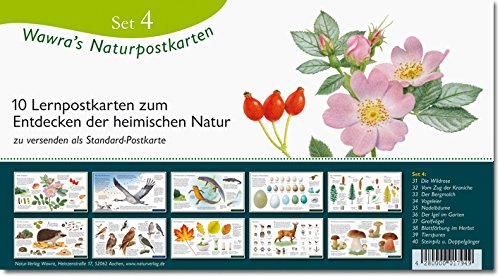 Wawra´s Naturpostkarten Set 4-10 Lernpostkarten im Set zum Entdecken, Beobachten, Bestimmen - Postkarten - 22 cm x 12 cm von Wawra