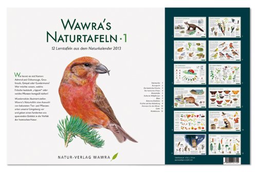 Wawra´s Naturtafeln Set 1 mit 12 Lerntafeln im A3-Format zum Entdecken, Beobachten, Bestimmen - 41,6 x 27 cm von Wawra