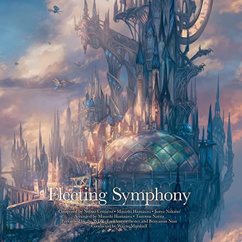 Fleeting Symphony (Original Soundtrack) [Vinyl LP] von Wayo Records