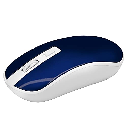Waytex 65424 Kabellose Maus 2,4 GHz für Computer mit Nano-USB-Empfänger und Empfindlichkeit einstellbar bis zu 1600 DPI Signalreichweite bis zu 10 m Optische Technologie – Blau Metallic Waytex 65424 Kabellose Maus 2,4 GHz für Computer mit Nano-USB-Empfänger und Empfindlichkeit einstellbar bis zu 1600 DPI Signalreichweite bis zu 10 m Optische Technologie – Blau Metallic von Waytex