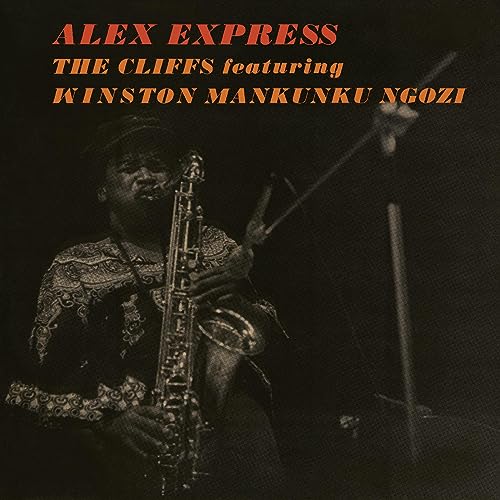 Alex Express [Vinyl LP] von We Are Busy Bodies