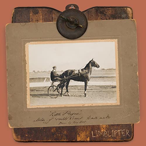 Little Payne [Vinyl LP] von We Are Busy Bodies