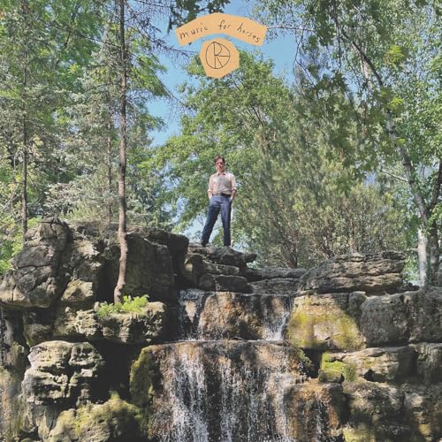 Music for Horses [Vinyl LP] von We Are Busy Bodies