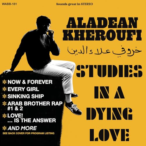 Studies in a Dying Love [Vinyl LP] von We Are Busy Bodies (H'Art)