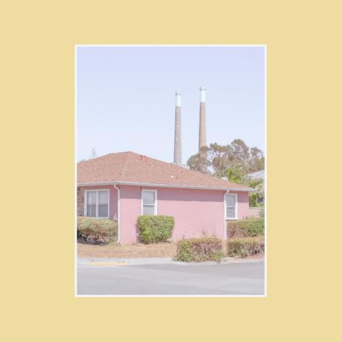 The Tinnitus Chorus [Vinyl LP] von We Are Busy Bodies