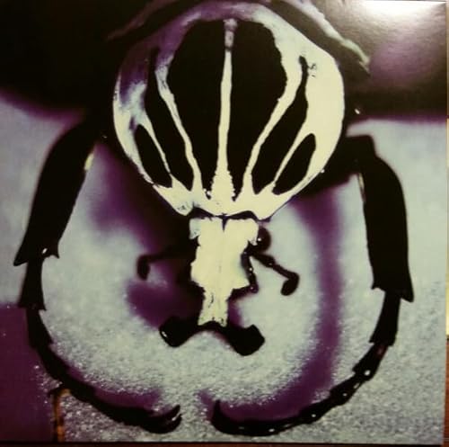 Make a Pest a Pet [Vinyl LP] von We Are Busy Bodies