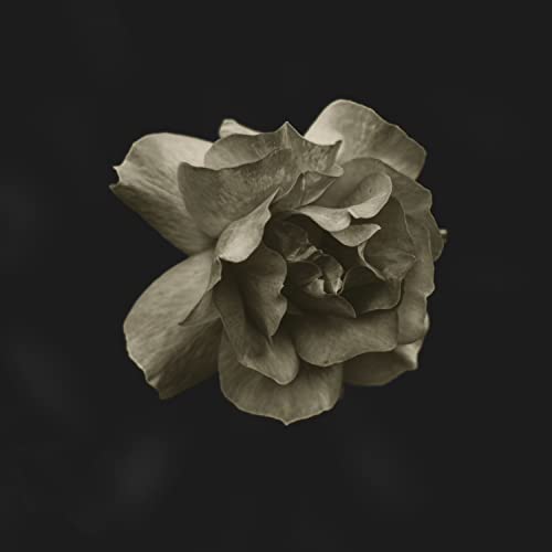 Gldmth [Vinyl LP] von Wea Int'L