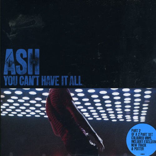 You Can't Have It All [Vinyl Single] von Wea