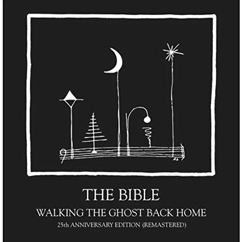 Walking the ghost back home (180g remastered) [Vinyl LP] von Weatherbox (Alive)