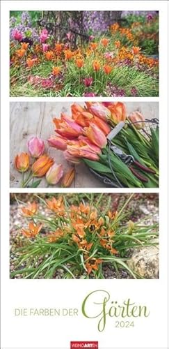 Die Farben der Gärten Kalender 2024. Langer Foto-Wandkalender im Format 33 x 68cm. Natur-Kalender 2024 mit atemberaubenden Garten-Fotos in eleganten Kompositionen. Hochformat. Die Farben der Gärten Kalender 2024. Langer Foto-Wandkalender im Format 33 x 68cm. Natur-Kalender 2024 mit atemberaubenden Garten-Fotos in eleganten Kompositionen. Hochformat. von Weingarten in Athesia Kalenderverlag GmbH